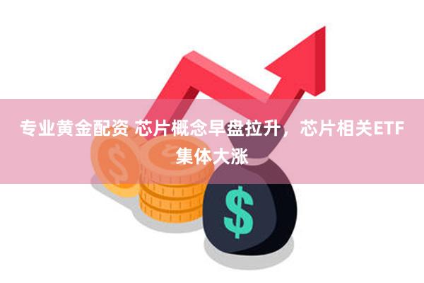 专业黄金配资 芯片概念早盘拉升，芯片相关ETF集体大涨