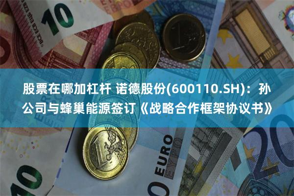 股票在哪加杠杆 诺德股份(600110.SH)：孙公司与蜂巢能源签订《战略合作框架协议书》