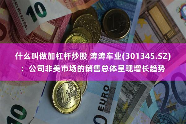 什么叫做加杠杆炒股 涛涛车业(301345.SZ)：公司非美市场的销售总体呈现增长趋势