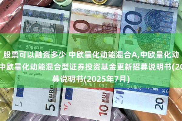 股票可以融资多少 中欧量化动能混合A,中欧量化动能混合C: 中欧量化动能混合型证券投资基金更新招募说明书(2025年7月)
