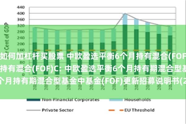如何加杠杆买股票 中欧盈选平衡6个月持有混合(FOF)A,中欧盈选平衡6个月持有混合(FOF)C: 中欧盈选平衡6个月持有期混合型基金中基金(FOF)更新招募说明书(2025年7月)