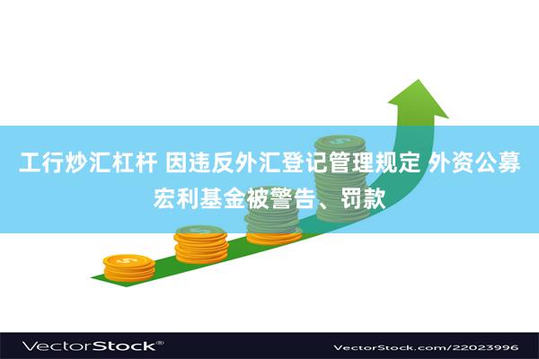工行炒汇杠杆 因违反外汇登记管理规定 外资公募宏利基金被警告、罚款