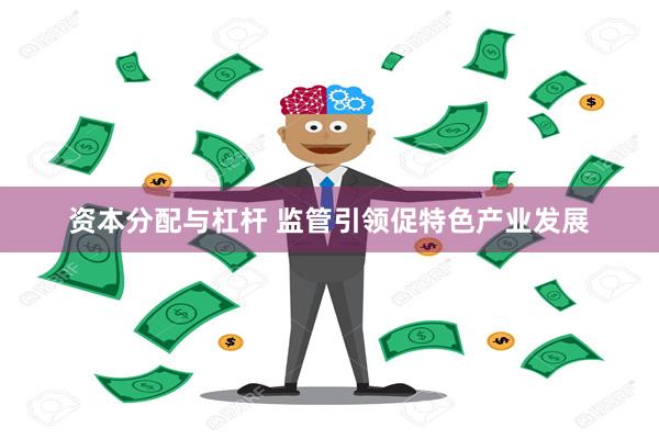 资本分配与杠杆 监管引领促特色产业发展