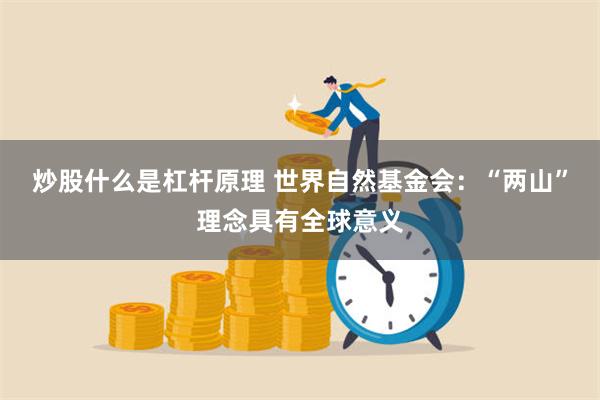 炒股什么是杠杆原理 世界自然基金会：“两山”理念具有全球意义