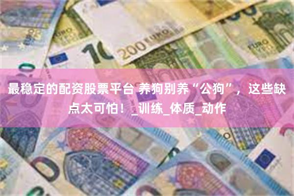 最稳定的配资股票平台 养狗别养“公狗”，这些缺点太可怕！_训练_体质_动作