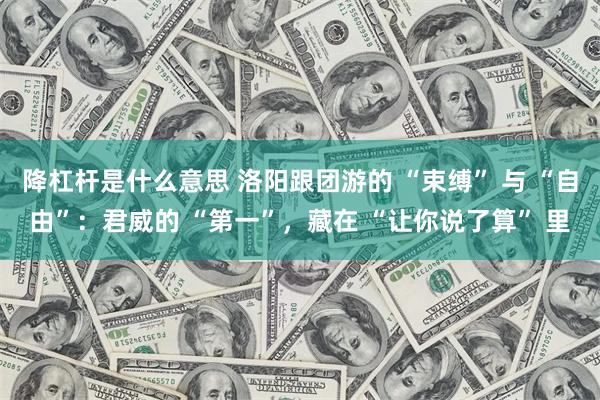降杠杆是什么意思 洛阳跟团游的 “束缚” 与 “自由”：君威的 “第一”，藏在 “让你说了算” 里