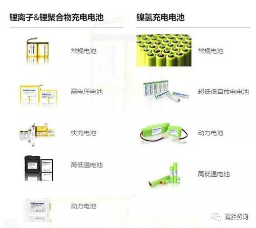 項目入駐 高勝咨詢進駐美國上市公司豪鵬科技,共謀發展,譜寫輝煌新篇章